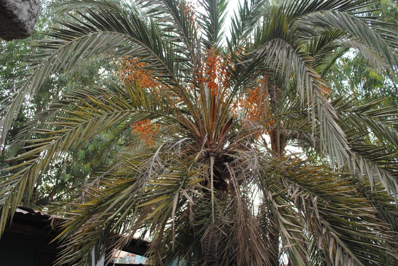 Rainbow Beach Resort Sanyang 外观 照片